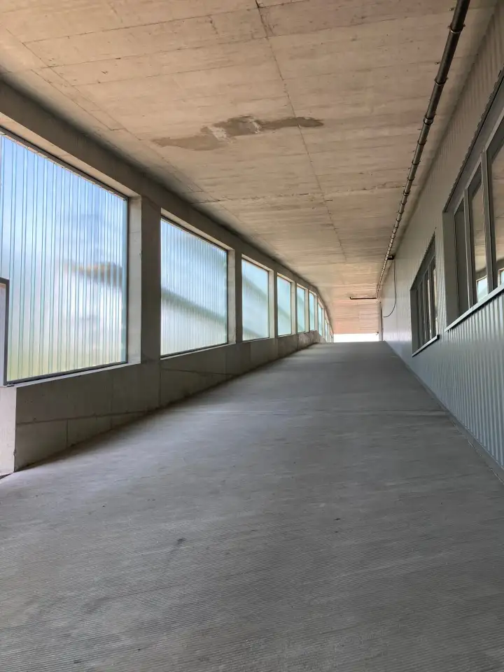 Emil Frey Autocenter in Safenwil – Foto 4